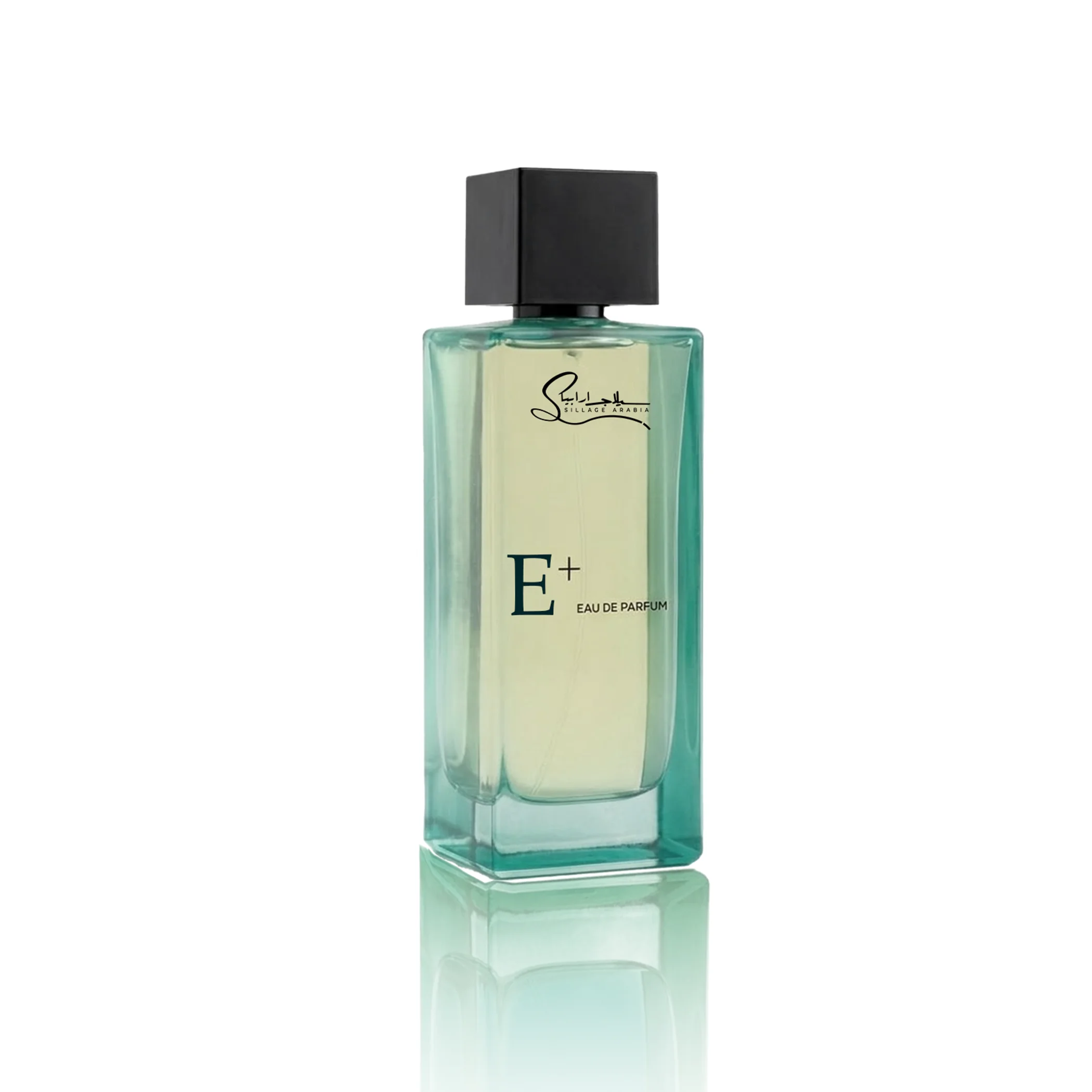 E+-UPDATE-- WEBSITE 010-2026